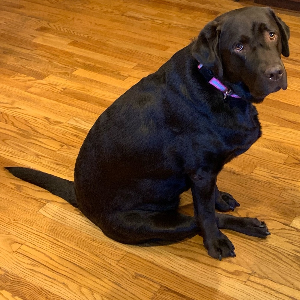 Meet your Posher, Scott